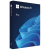 MICROSOFT Windows 11 Pro FPP 64bit