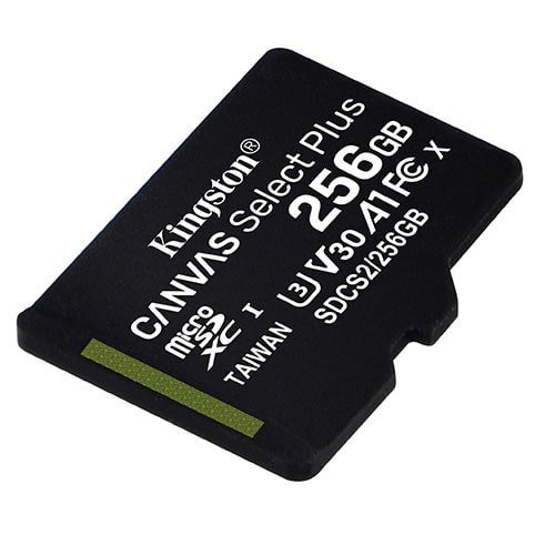 KINGSTON Memorijska kartica MicroSD 256 GB