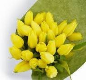 Veštačke lale (tulipani)