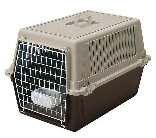 FERPLAST Transporter Atlas