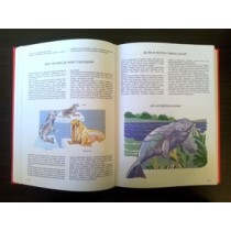 1000 zasto 1000 zato