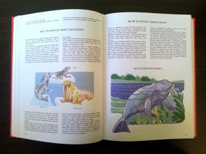 1000 zasto 1000 zato