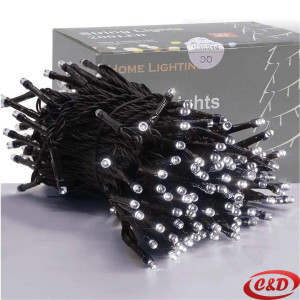 Lampice MRAVI LED 10 m