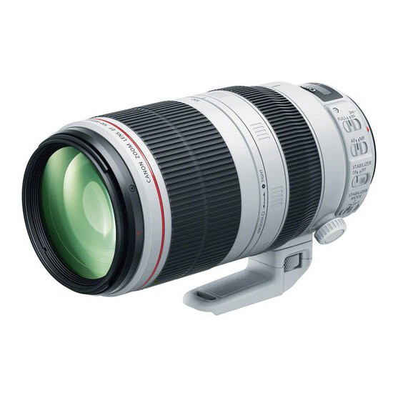 Canon EF 100-400mm f/4.5-5.6L IS II USM