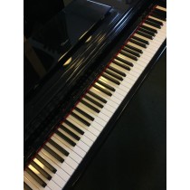 Viscount Classico Grand električni klavir