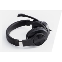 PC Slusalice  HS-P300 