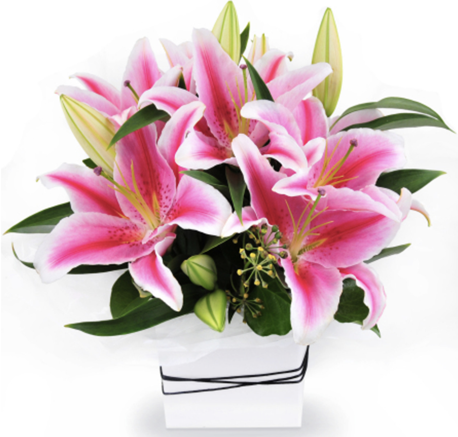 Lillies in a box
