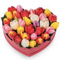 Tulips in a box