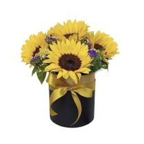 Sunflower box