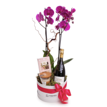 Orchid Gift Set
