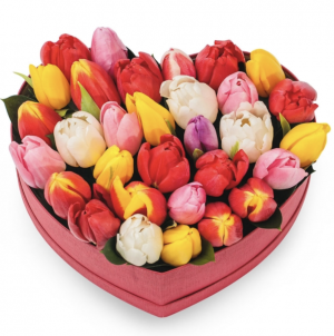Tulips in a box