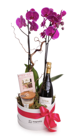 Orchid Gift Set