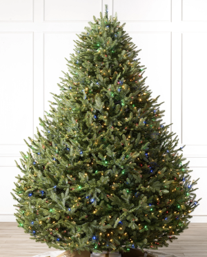 Large Rounded Christmas Tree (190cm) - Real