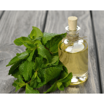 Ulje peperminta