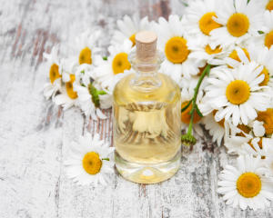 Ulje kamilice