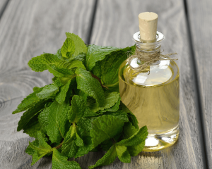 Ulje peperminta