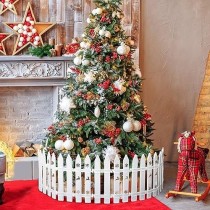 Sjajna Zimska Kapija