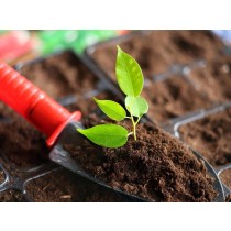 Univerzalna zemlja za sadnju