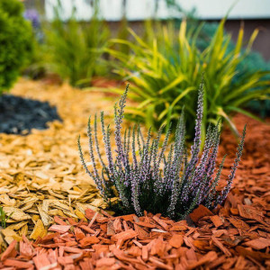 Dekorativna kora - malč