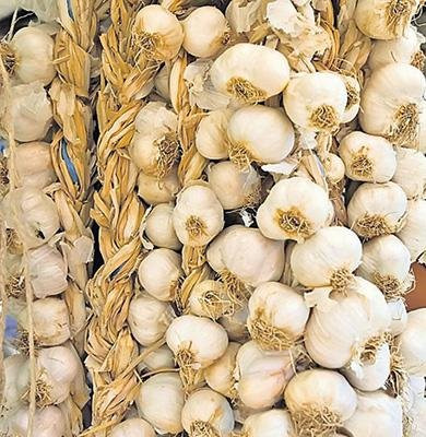 Seme belog luka (Autohotni) 1kg