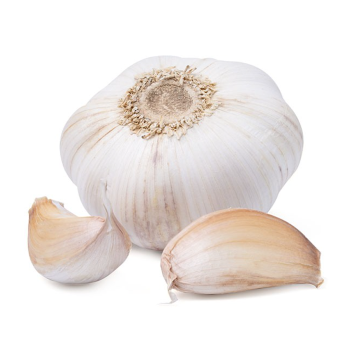 Seme domaćeg belog luka 