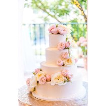 Svadbena torta - Afrika torta