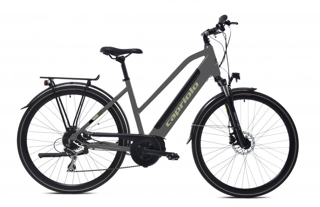 E-BIKE ECO 700.3.2 LADY siva