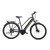 E-BIKE ECO 700.3.2 LADY siva