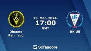 Rukometna utakmica  DINAMO PANČEVO-RK UB