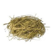 Dekorativna trava - zlatna