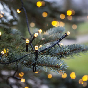 Lamice - žute - crni kabl