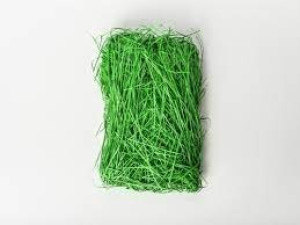 Dekorativna trava - zelena