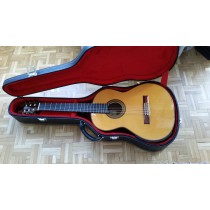 Western Acoustics Travel 