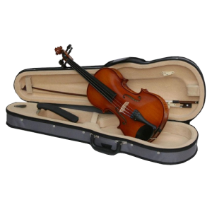 VIOLMASTER violina