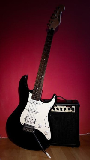 Western Acoustics Travel 