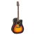 TAKAMINE Akustična ozvučena gitara