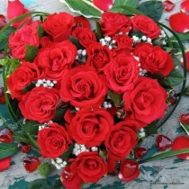 Grand Amor (Grande Amore) - ruža