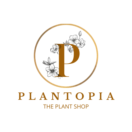 Plantopia