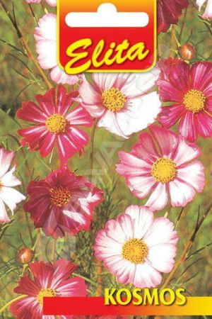  ELITA CVEĆE KOSMOS