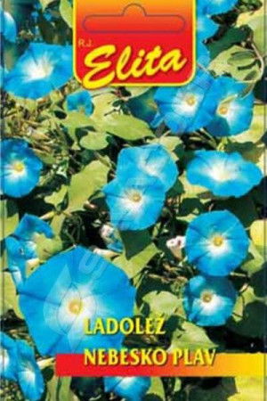 ELITA CVEĆE LADOLEŽ PLAVI